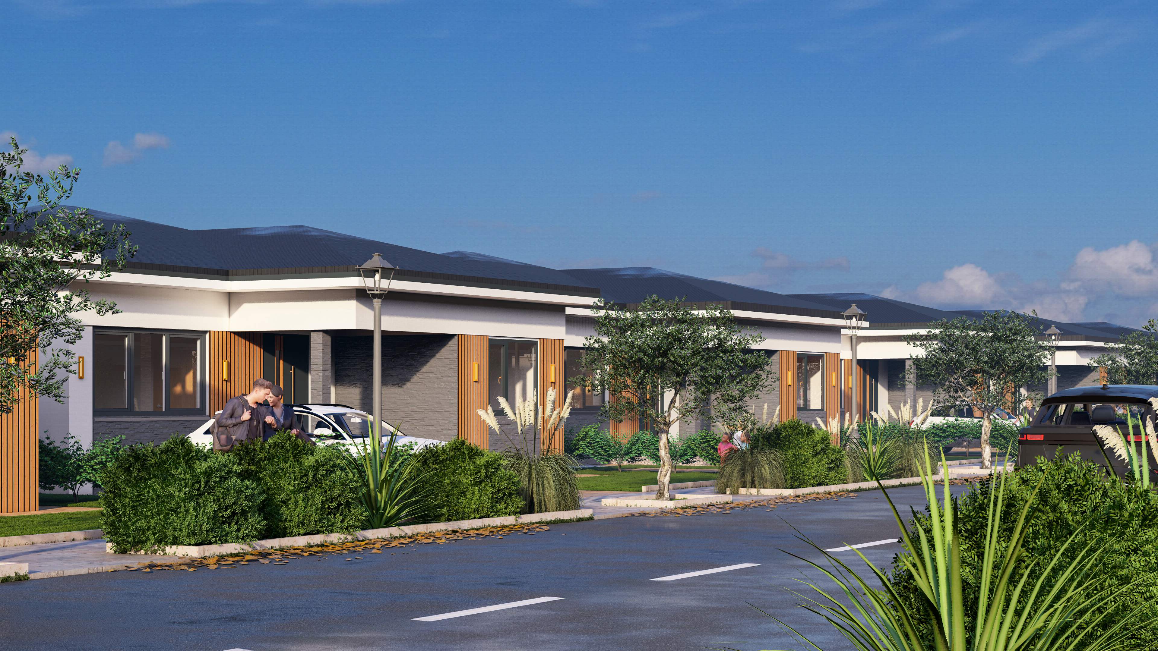 Stradă cu parcare și vegetație